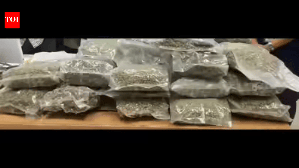 Delivery Agent Caught with $102K Weed at Airport