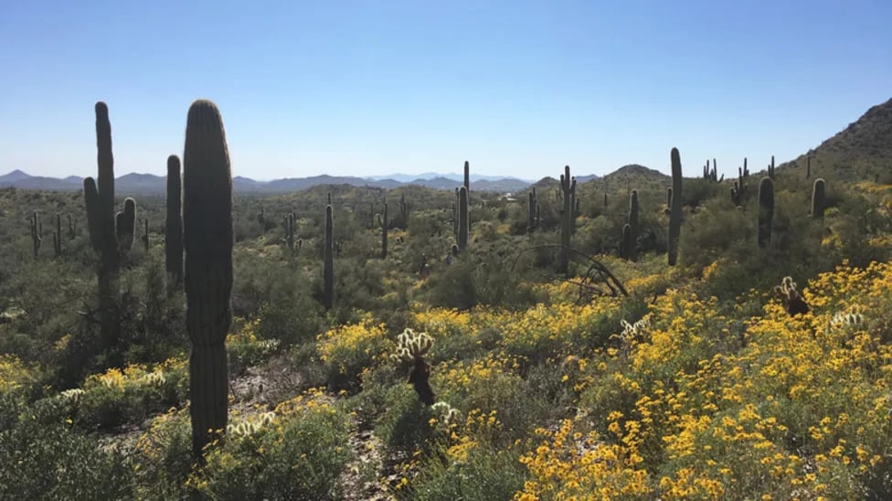 Scenic Park Near Phoenix Offers Views, Camping, and Trails