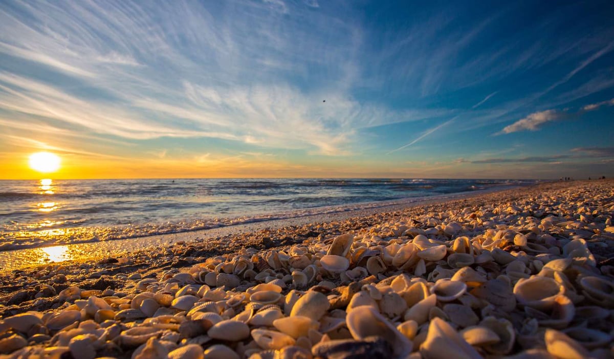 6 Quiet Florida Beaches For Great Shelling