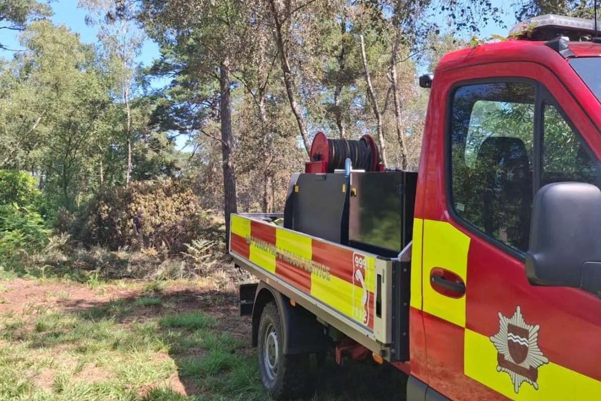 Fire Erupts at Popular Sussex Beauty Spot
