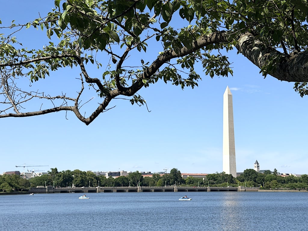 KidFriendly DC