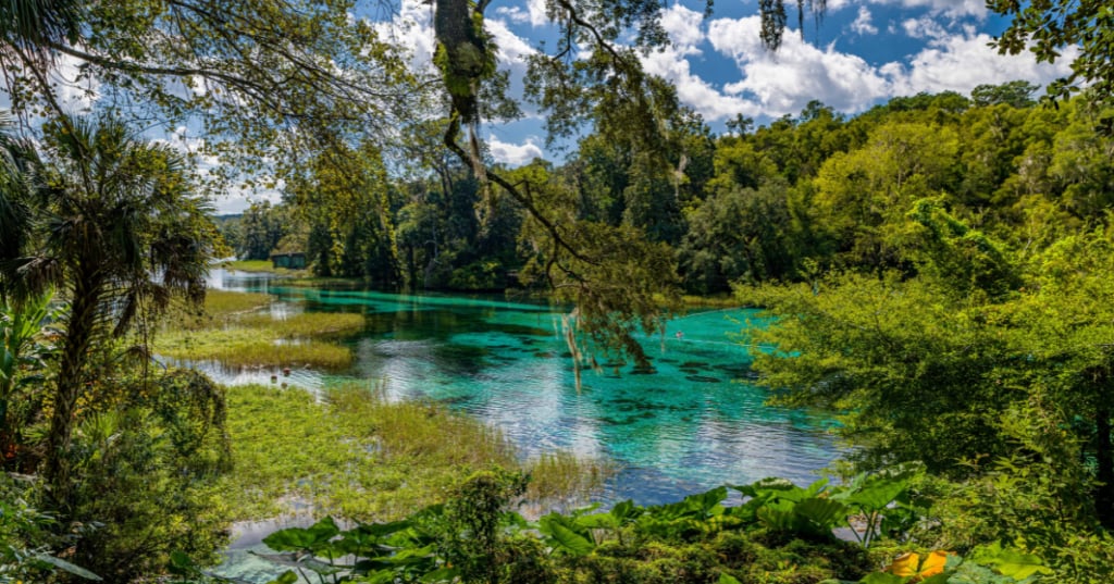 3 Secret Spots in Rainbow Springs State Park