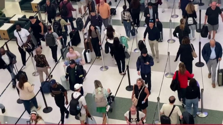 Senate Funds DHS, Cuts ICE and Border Patrol