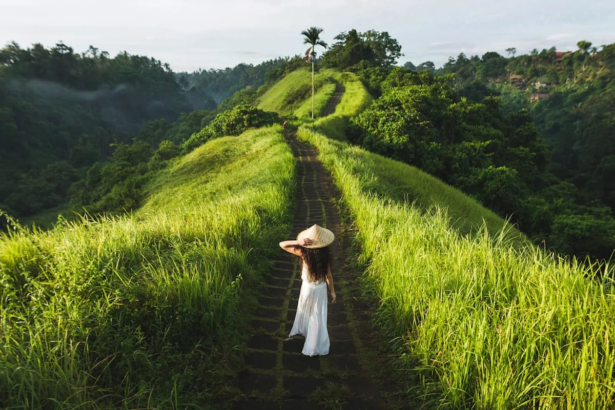 Where to Travel This Summer by Your Human Design Type