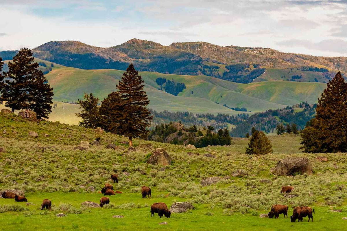 Travel Experts Reveal America's Top Summer Destination