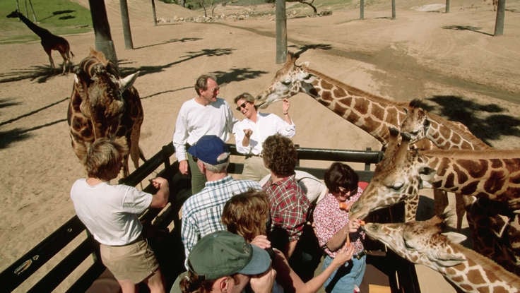 Five Must-Visit Drive-Through Safari Parks in America