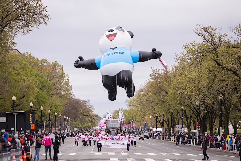 KidFriendly Spots Shine in DC