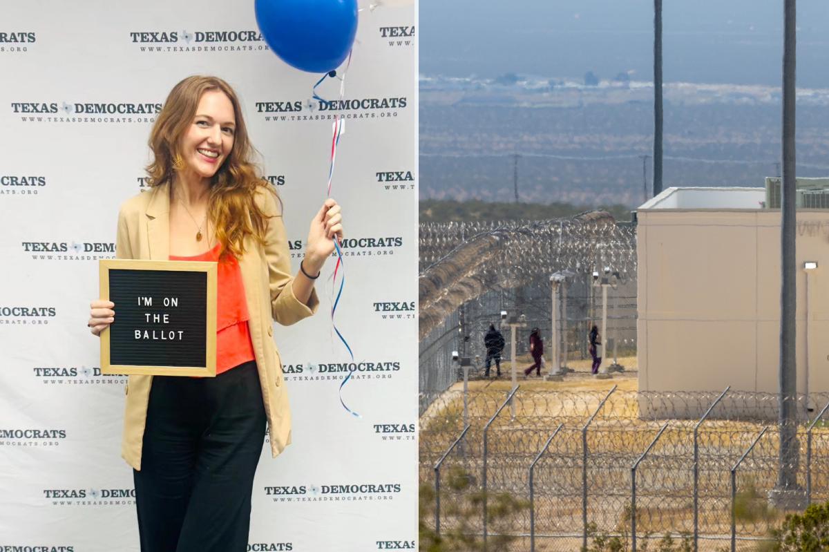 Dem Candidate Calls for ICE Camps With Castration Center