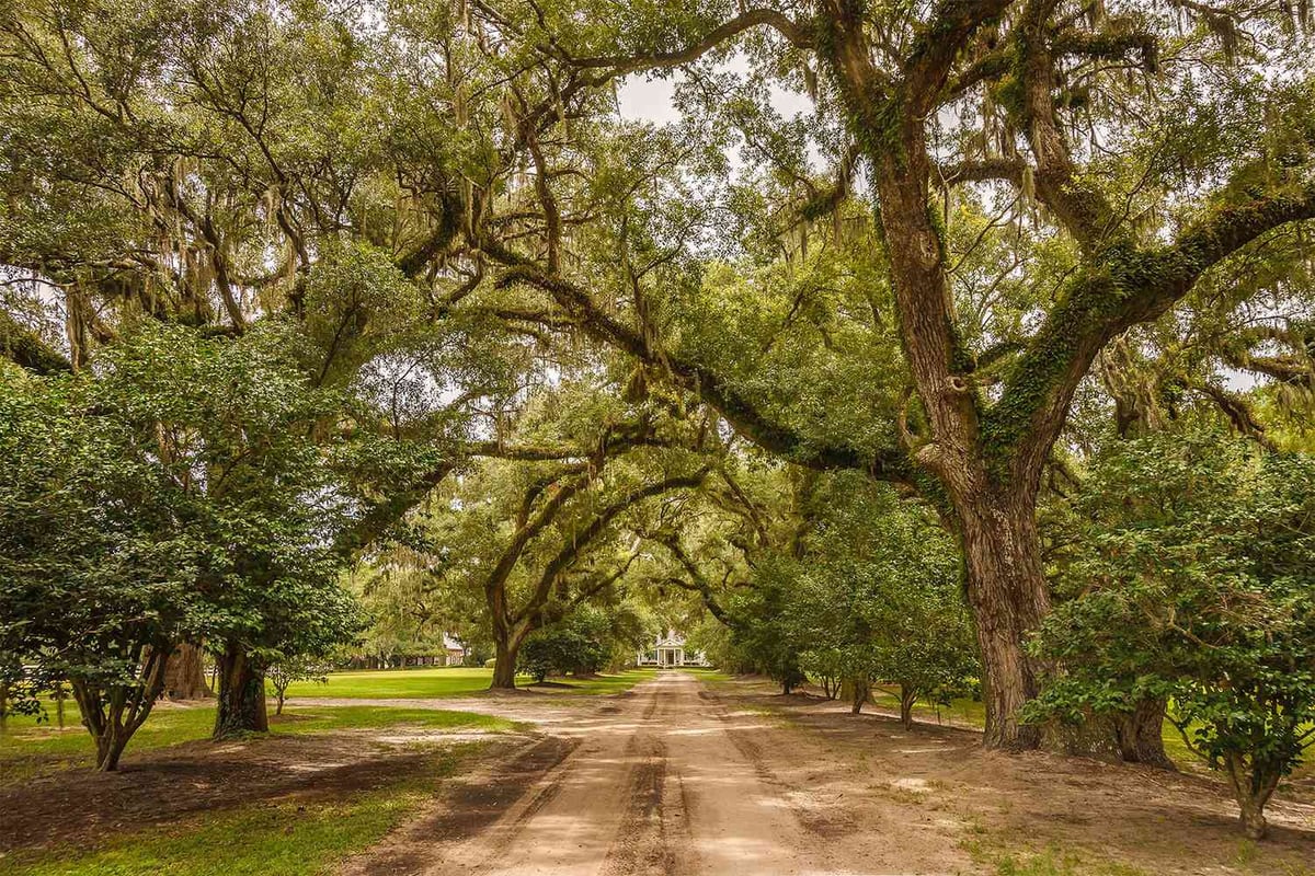 8 Best Small Towns in South Carolina