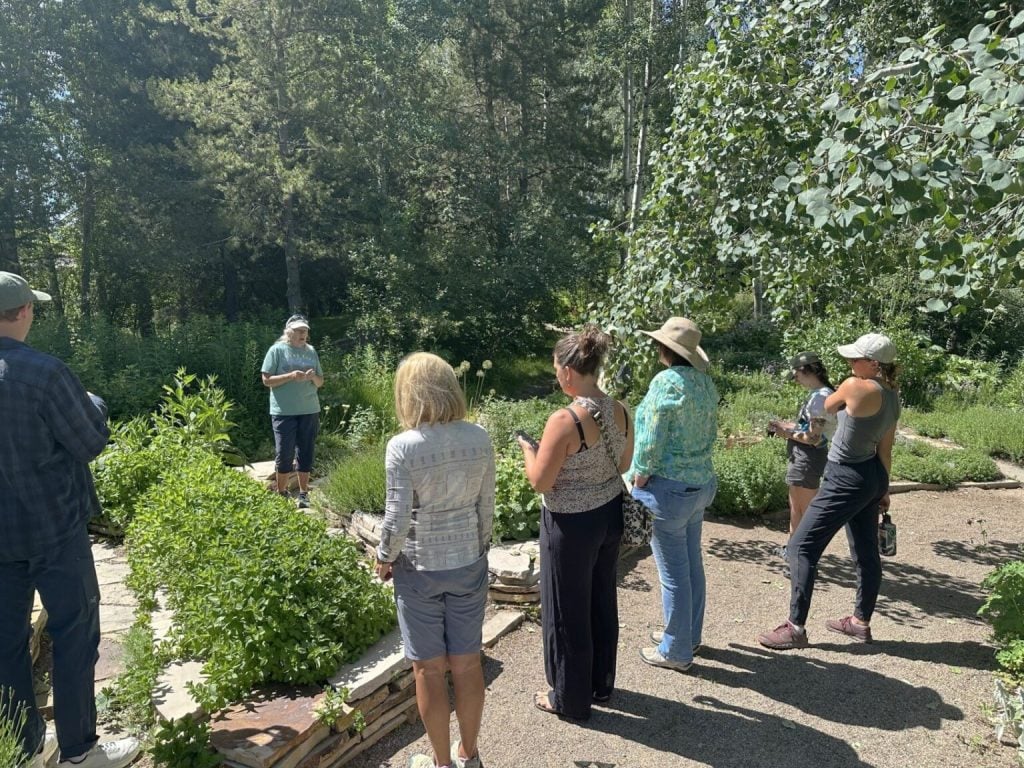 Yampa River Botanic Park Starts Meet The Gardener Series