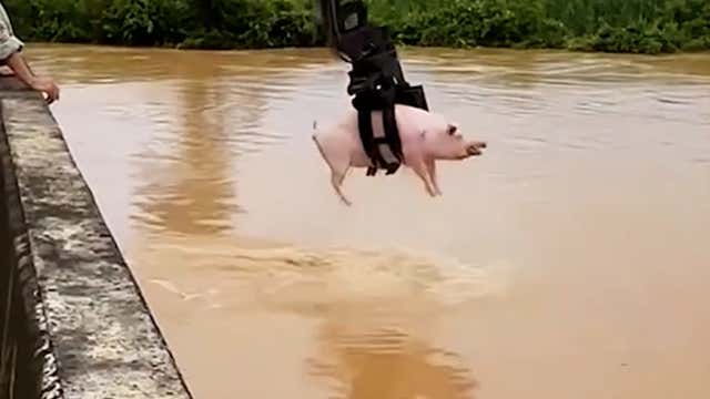 Claw Machine Pulls Unexpected Prize From Flood Waters