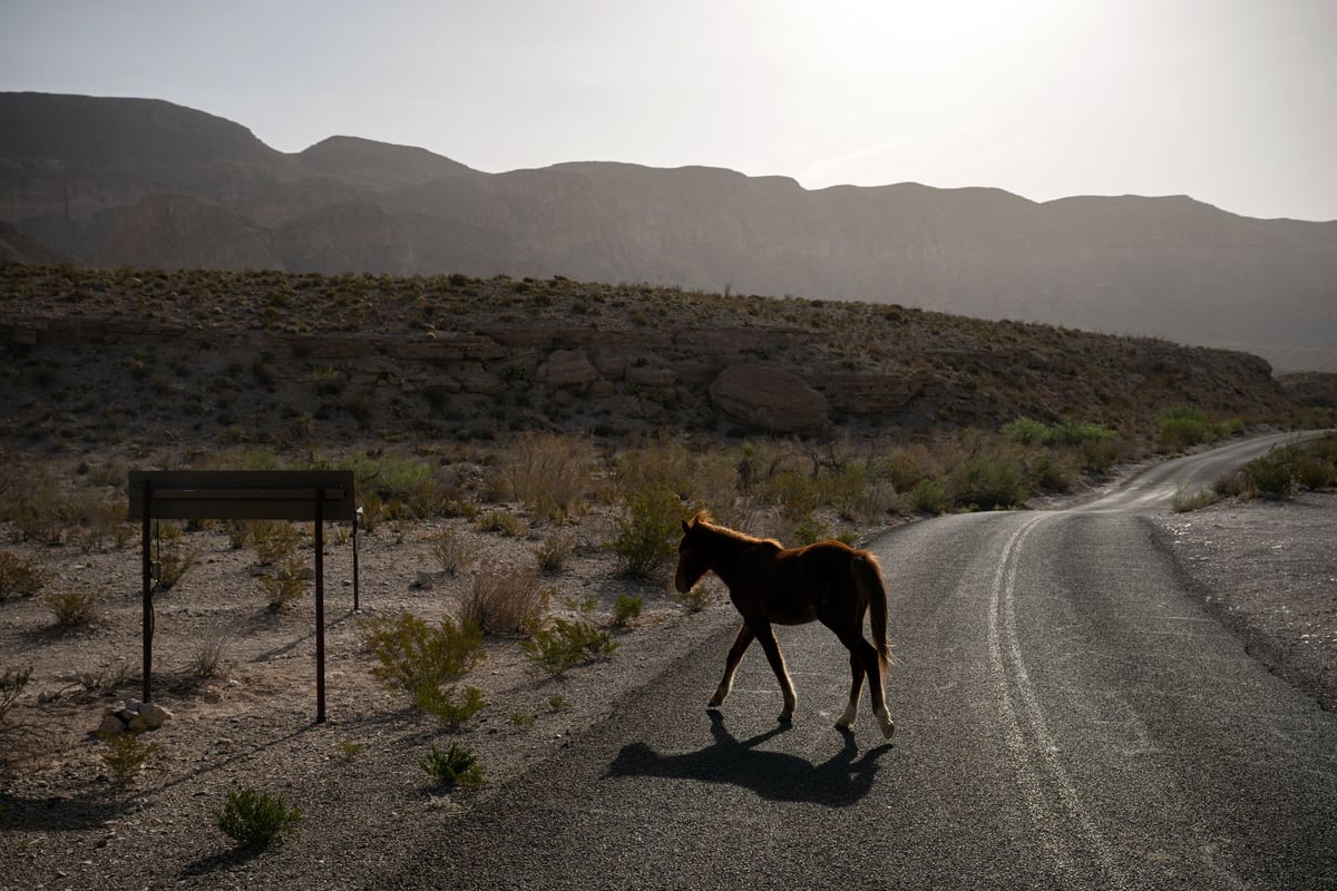 Trump Ends Public-Land Off-Road Vehicle Restrictions