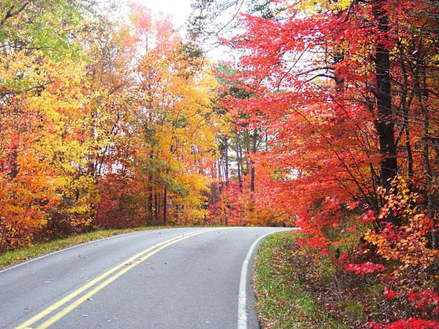 Mountain Town Magic - Discover Mentone, Alabama