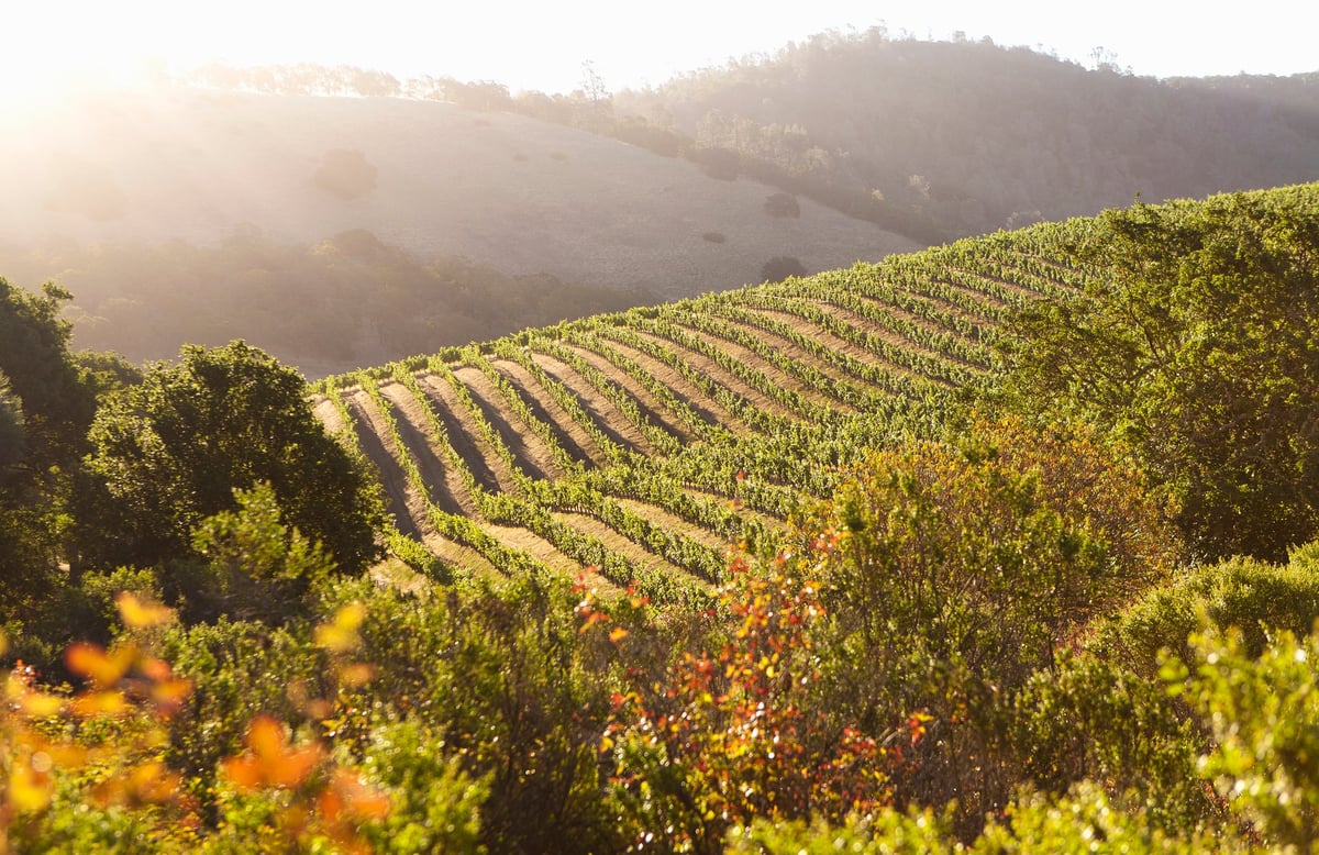 The World’s Most Beautiful Wine Destinations