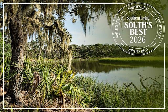 Top Southern Beach: Quiet Island of Turtles, Marshes