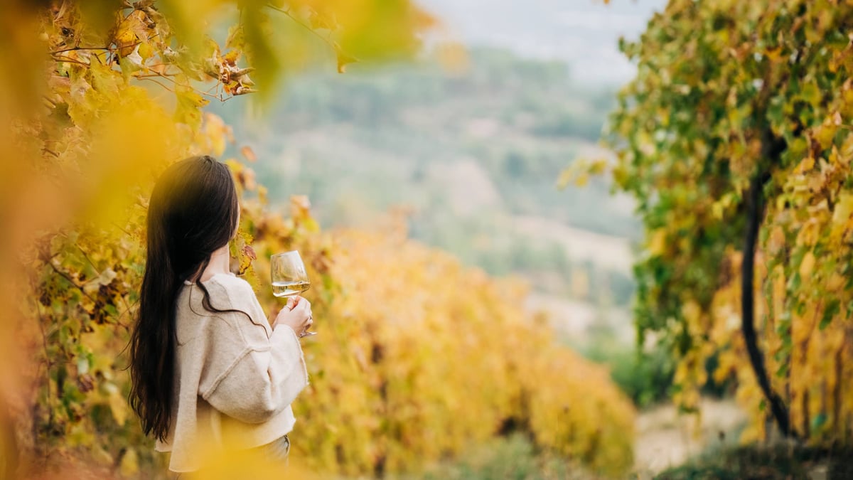 Beyond Napa - 6 Hidden U.S. Wine Regions Worth Exploring