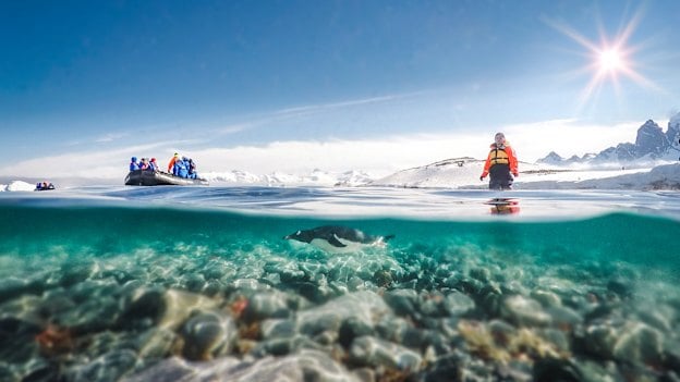 21 Must-Do Highlights of Antarctica