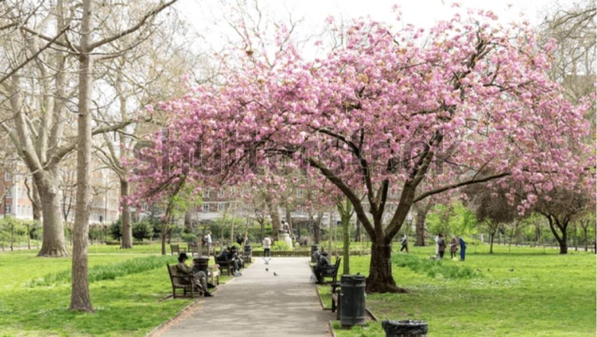 London's Hidden Gem - A Neighborhood Where History Lives on Every Corner