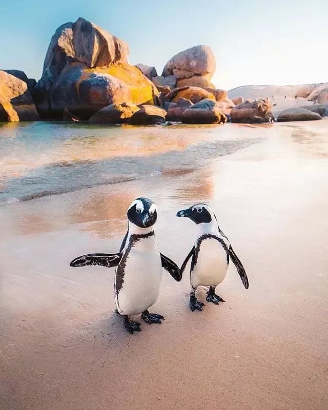 Cape Town Rises as a Top Adventure Beach Destination