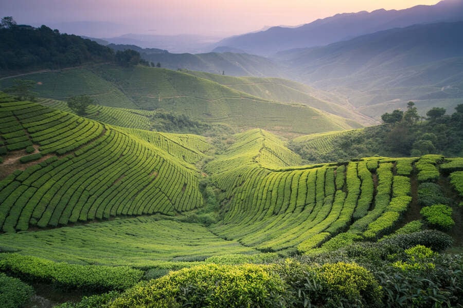 Nigeria Joins 47 Nations in Rwanda's Visa-Free Travel Boom