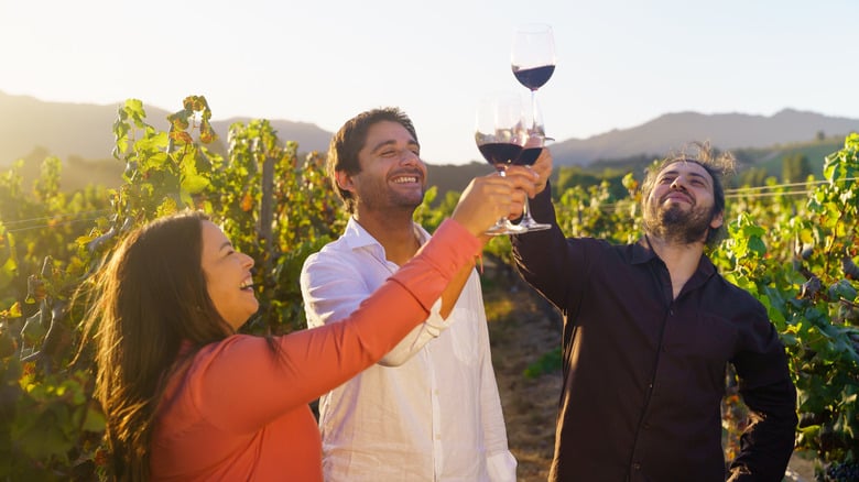 Napa Valley or Sonoma - Which California Wine Escape Wins?