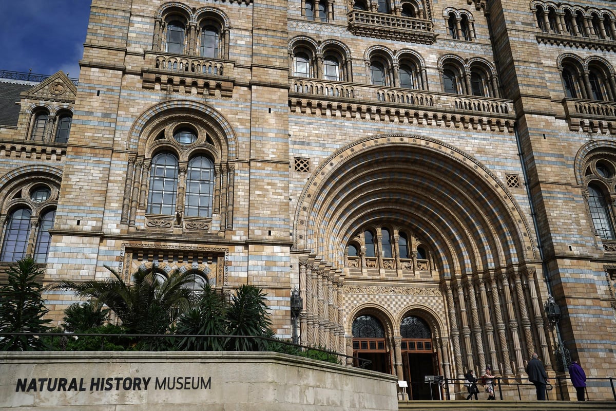 Natural History Museum Tops UK Attractions
