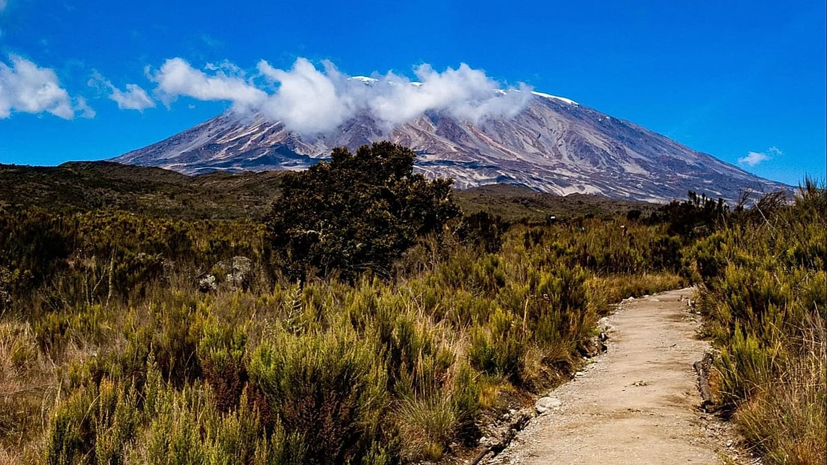 Kilimanjaro Trips From Europe Are Getting Easier
