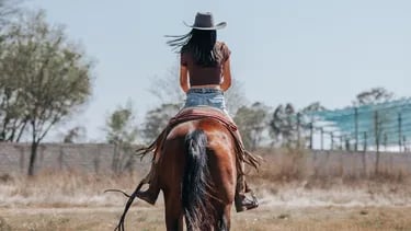 Bravo Launches Texas Ranch Wives Show Off Yellowstone Buzz