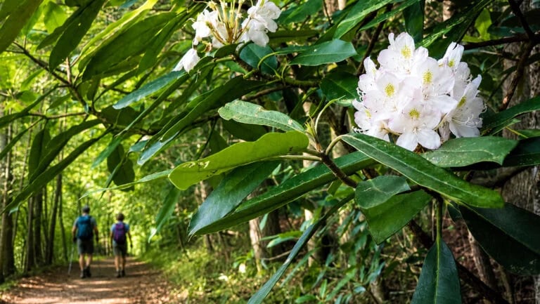 West Virginia Launches Outdoor Expo to Showcase Adventure Tourism