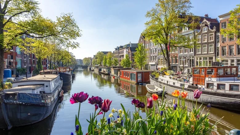 Why Travelers Are Ditching Amsterdam Vacations