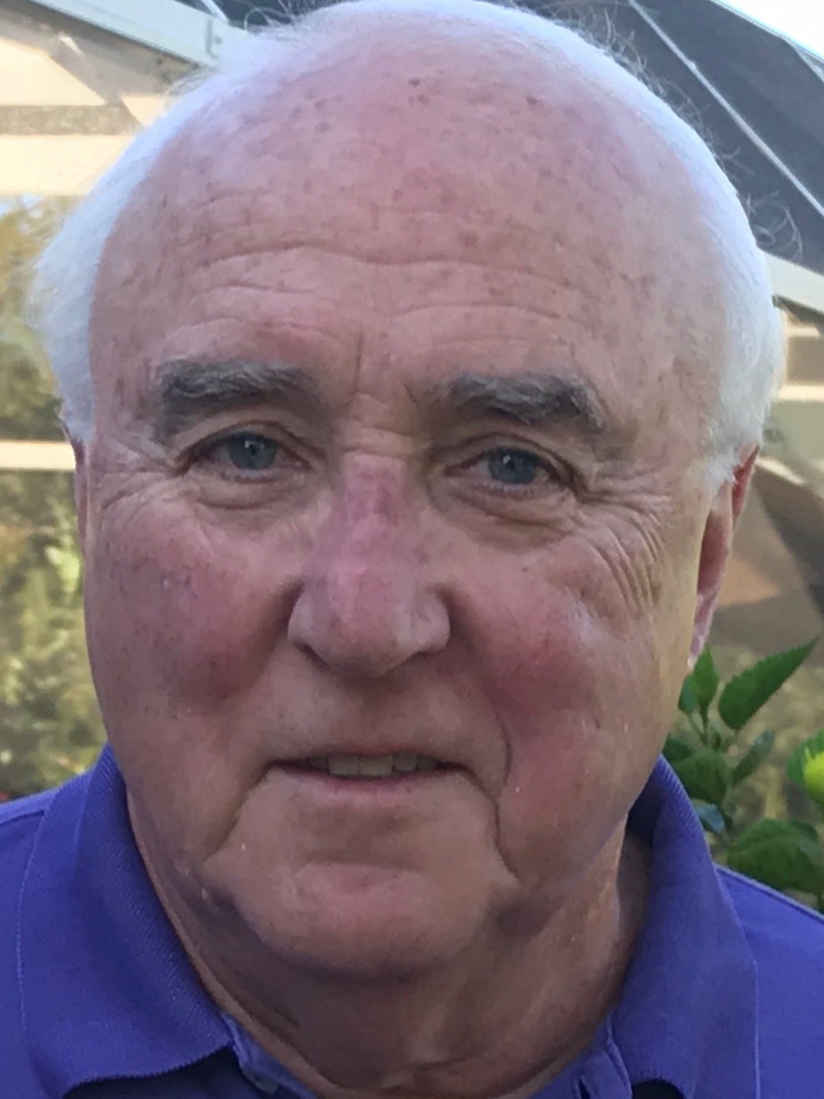 Opinion Says Celebrities Should Follow Elvis on Public Health