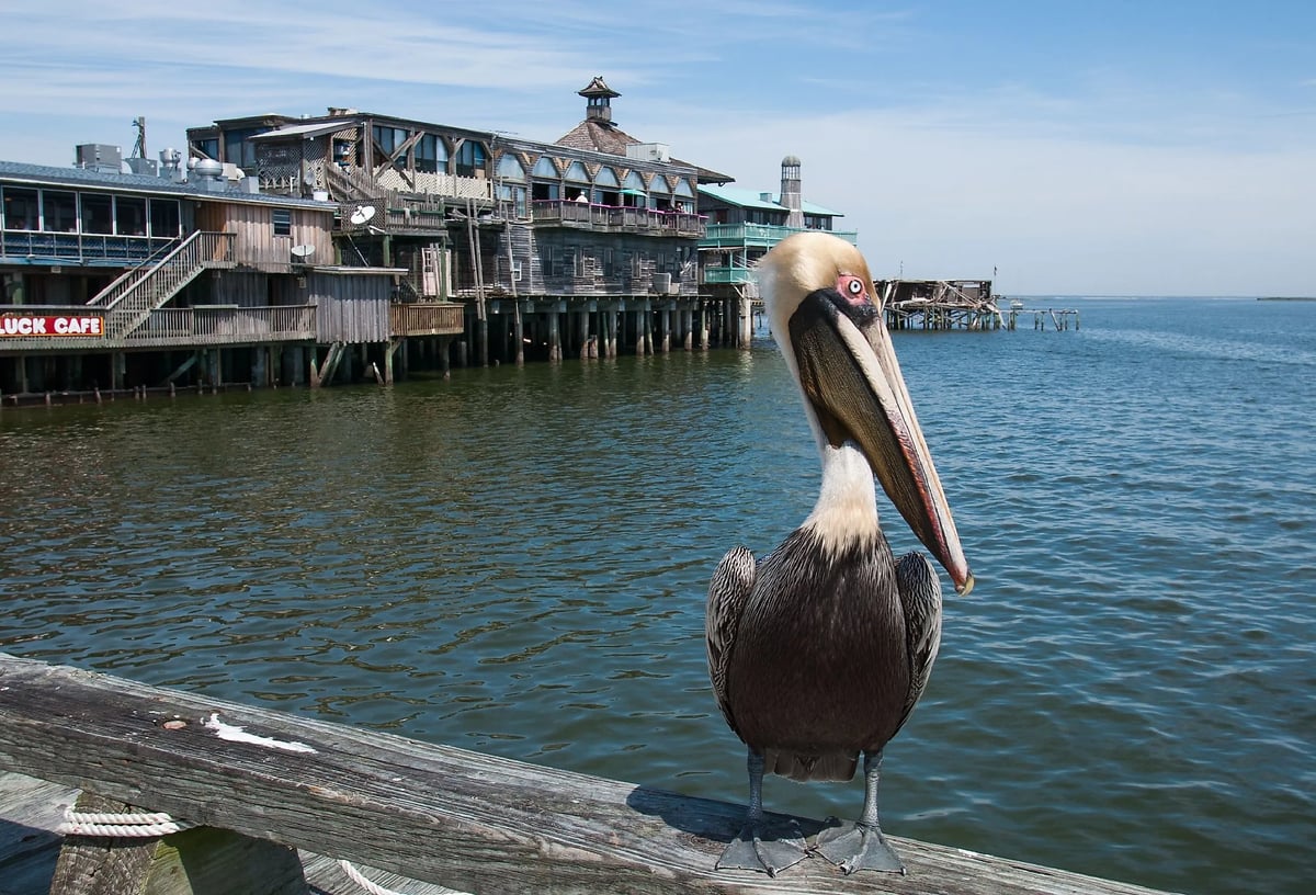 Eight Florida Towns Where Life Moves at a Gentler Pace