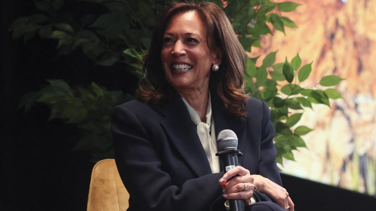 Democrats Release Harsh 2024 Election Report, Then Distanced Themselves