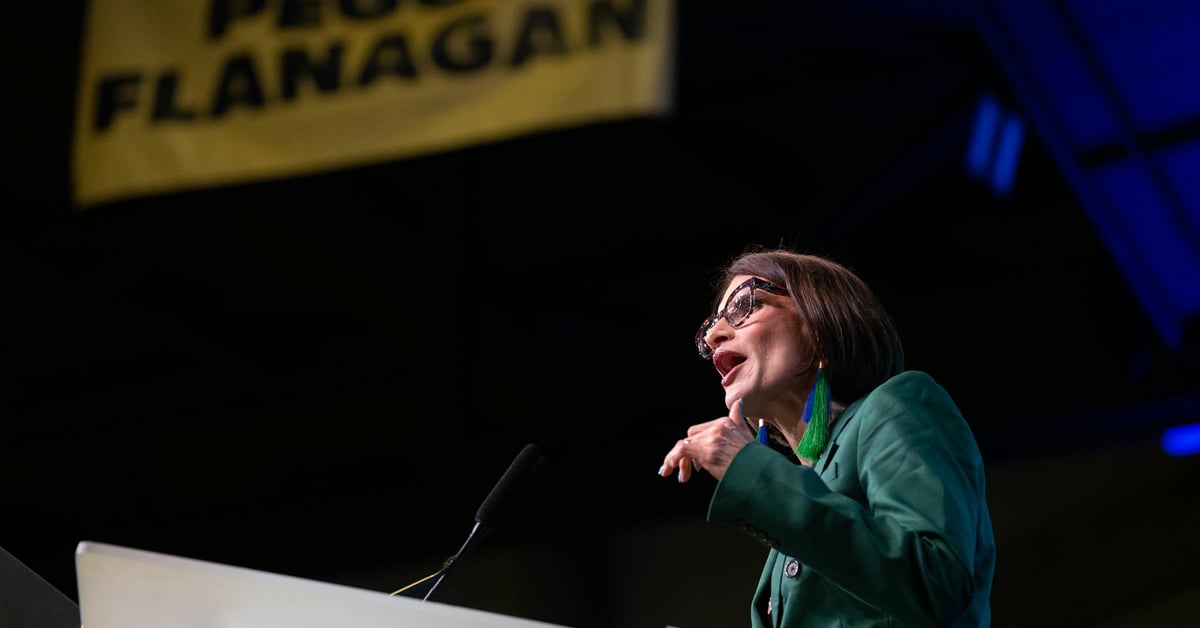 DFL Backs Flanagan For Senate, But Craig Leads The Money Race