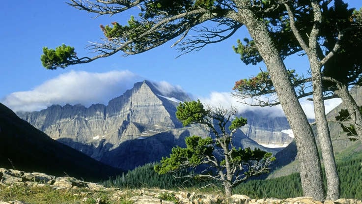 9 Stunning Montana Destinations for Your Next Road Trip