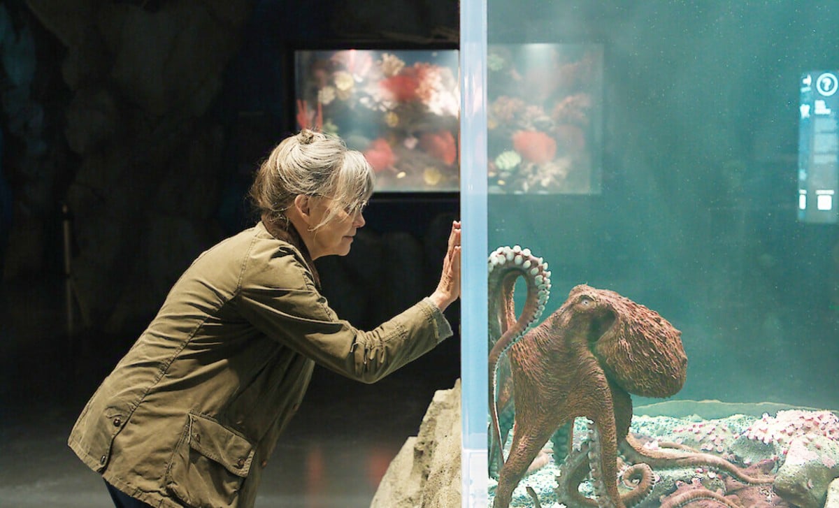 47 Best Netflix Movies For May 2026, Including Remarkably Bright Creatures