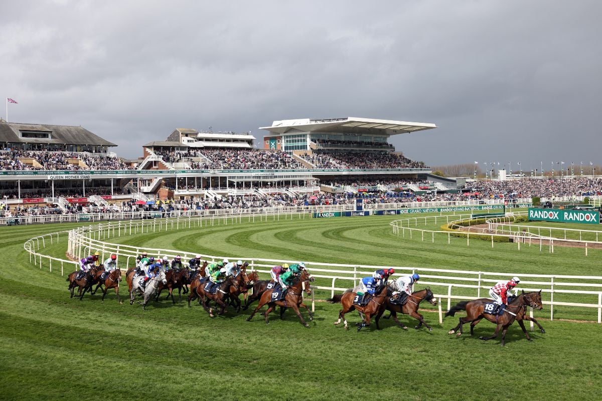 Second Horse Dies After Aintree Grand National