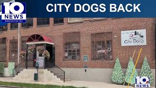 City Dogs Reopens While Police Investigation Continues