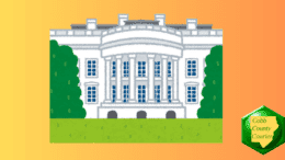 Nonprofits Push Back on 'Authoritarian Playbook'