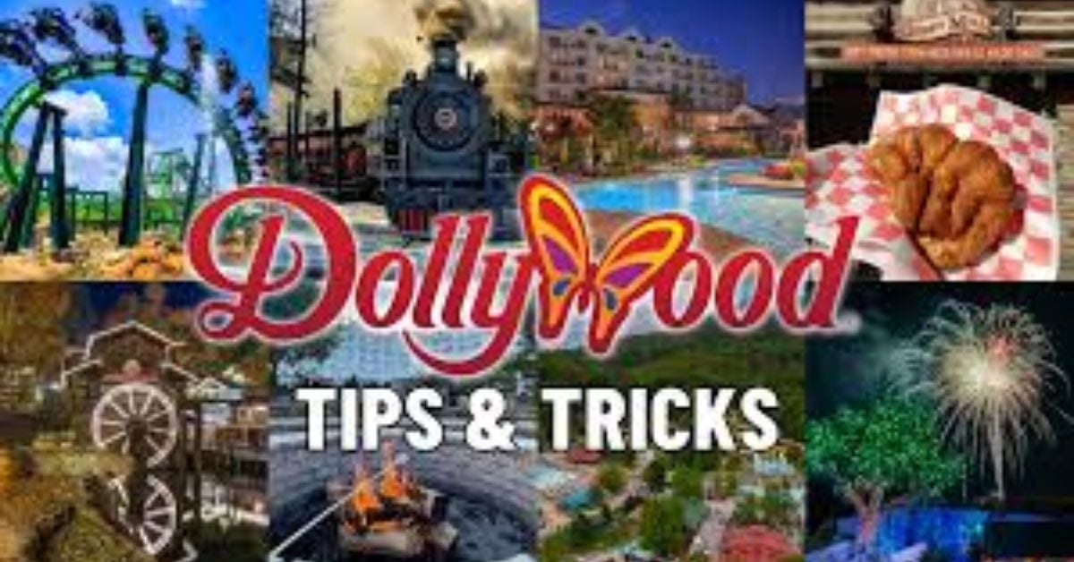 Yogi Bear's Jellystone Park Pelahatchie Ranked Among Top RV Campgrounds