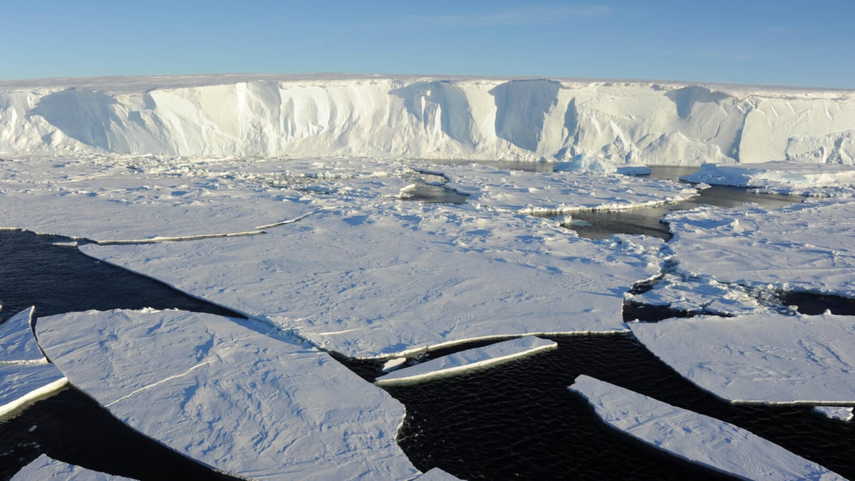 Antarctica Losing Argentina-Sized Sea Ice, Study Warns of Faster Warming