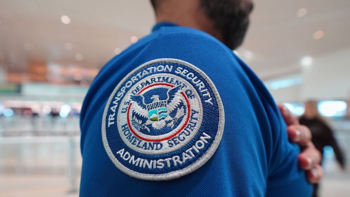Airline CEOs Demand Congress Fund DHS, Pay Airport Workers