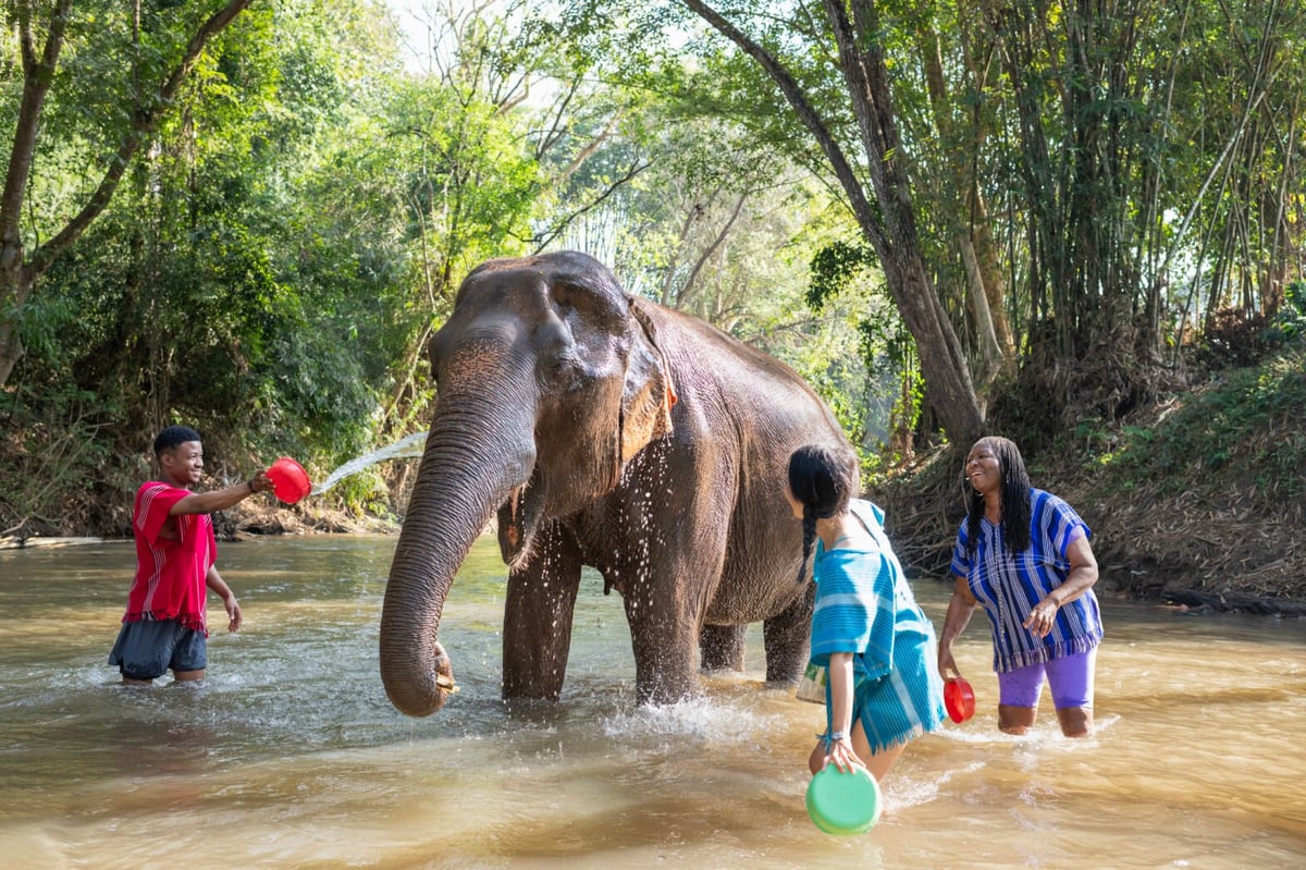 Top Solo Travel Groups for Every Budget