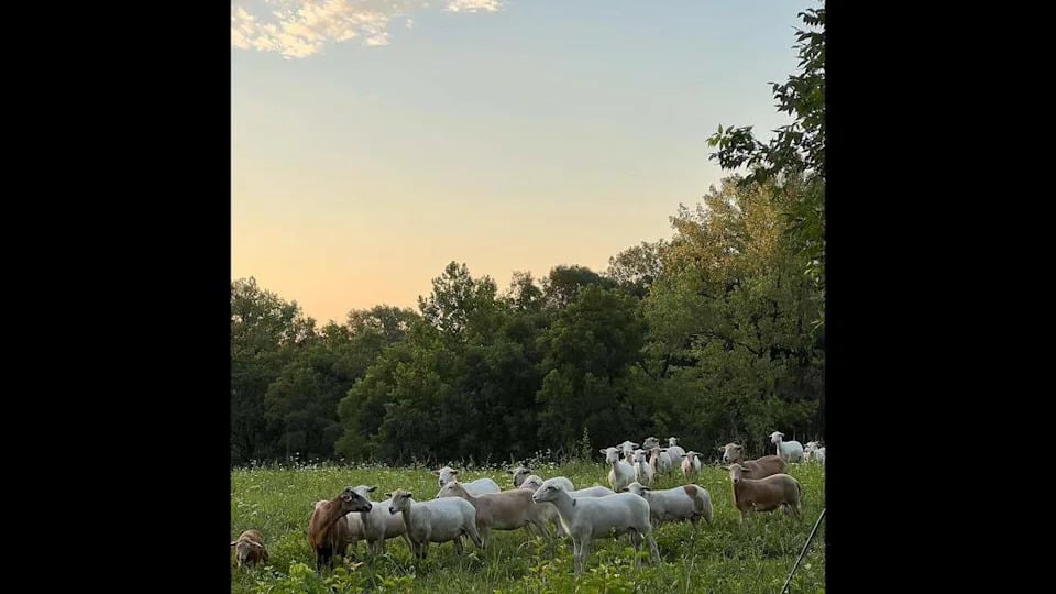 5 Affordable Camping Spots Near Belleville