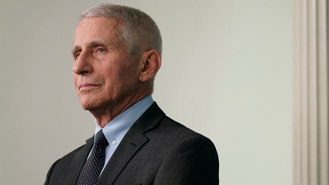 Tulsi Gabbard Drops New Files Exposing Fauci’s COVID Cover-Up