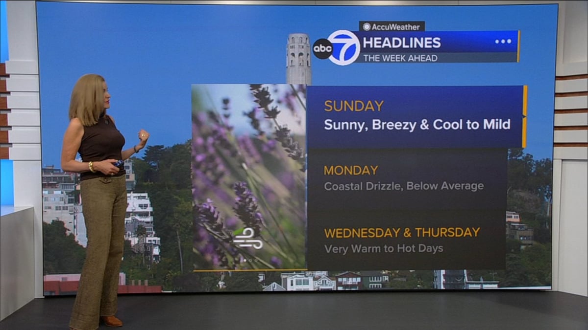 ABC7 Weather Forecast