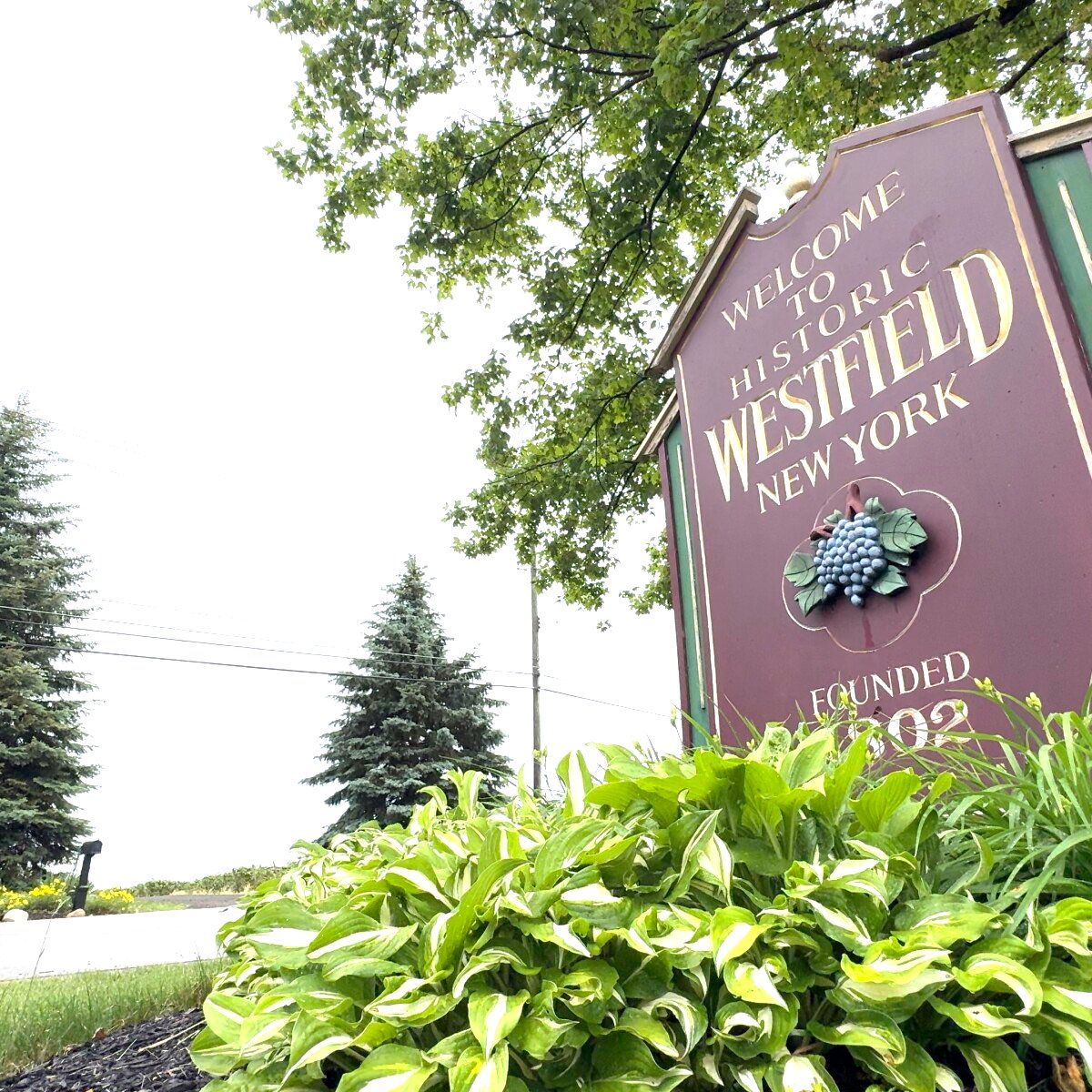 Airbnb Names Westfield a Hidden Gem for Budget Summer Travel