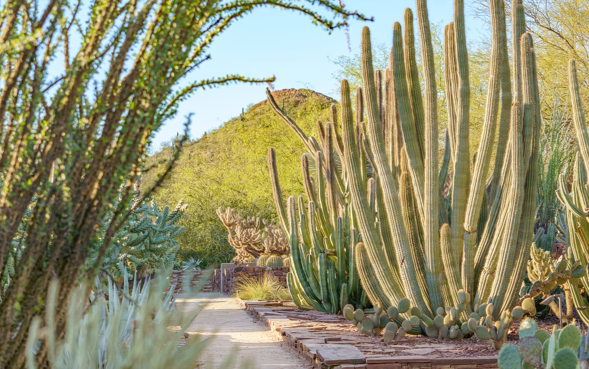 Garden Members Can Make the Most of Reciprocal Membership