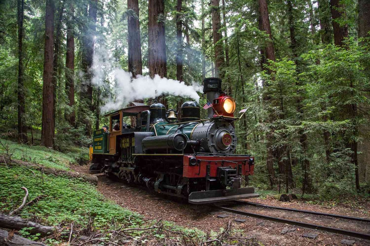 Scenic California Train Journey Through Redwoods to Coast