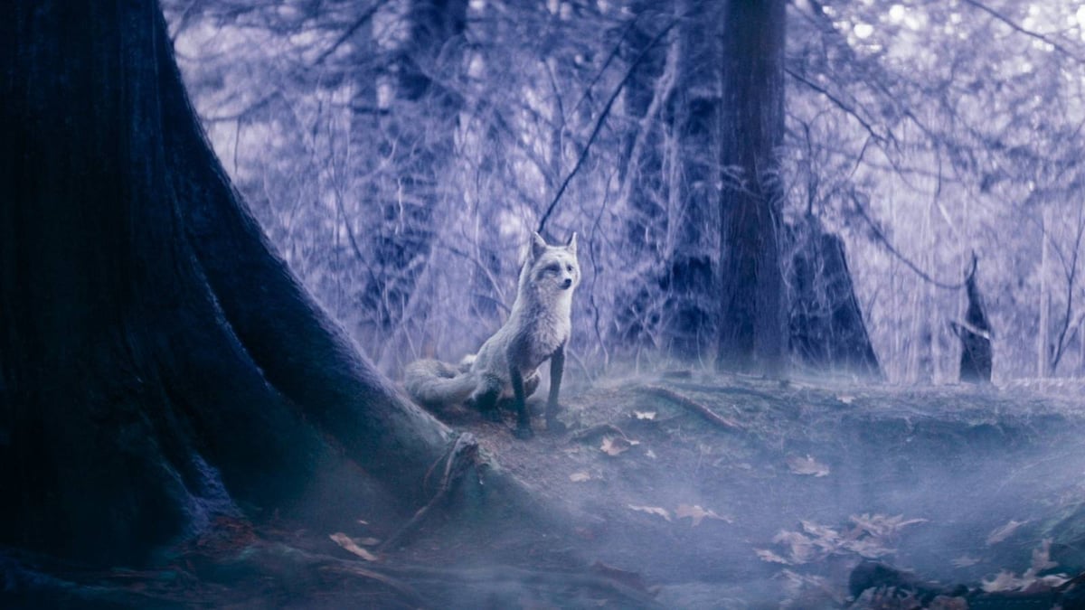Fantasy Classic Returns Next Month With A Divisive Reboot